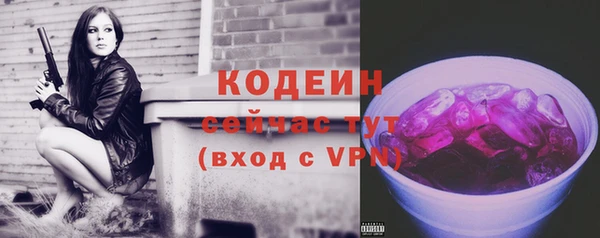a pvp Бородино