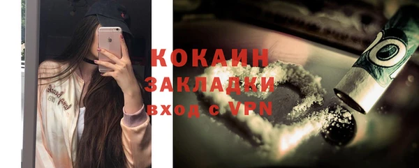 a pvp Бородино