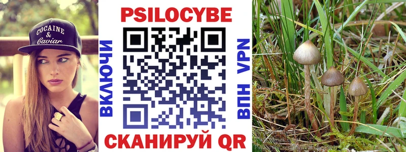 blacksprut ТОР  Игра  Псилоцибиновые грибы Cubensis 